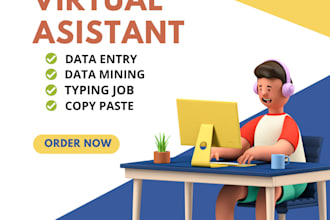 be your virtual assistant for data entry, web research