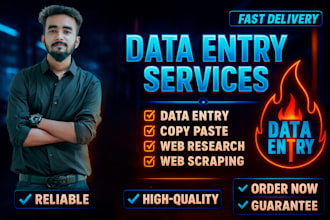 do data entry, excel, copy paste, web research and scraping