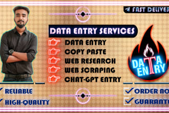 do data entry, excel, copy paste, web research and scraping