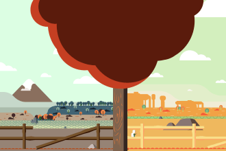 custom 2d environment illustration and book design