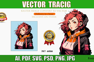 professional raster image convert to vector, vector tracing