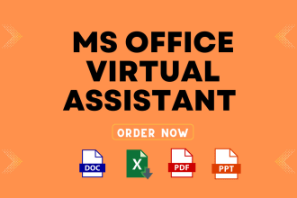 be your expert ms office virtual assistant