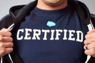 assist you in getting salesforce certification