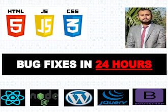 fix any bug in HTML,CSS,js,react js  and oracle apex in 24 hours