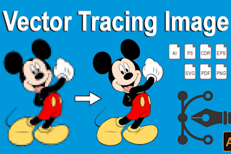 vectorize, vector tracing file