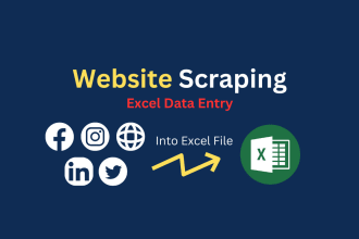 do website emails scraping, web research and excel data entry