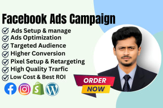 facebook advertisements campaign director, run fb advertisements campaign,