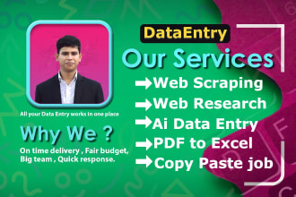 do data entry, excel, copy paste, scraping, and PDF to excel