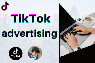 run tik tok ads, tik tok ads manager, and tiktok promotion