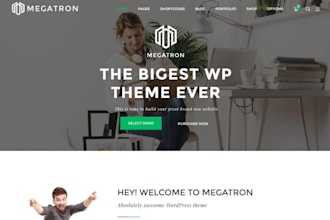 install the premium wordpress theme for your website