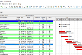 prepare the construction schedule using  primavera p6