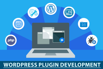 develop or modify a custom wordpress plugin for you