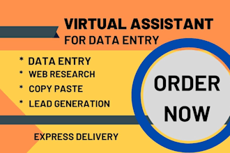 be virtual assistant for data entry, web research job