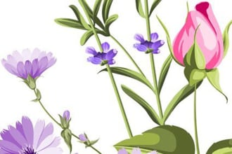 do beautiful digital botanical illustrations of flowers, fruits, and plants