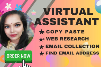 be your  professional virtual assistant