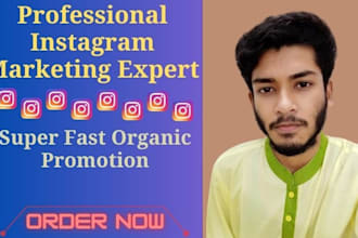 do superfast instagram organic growth professionally