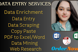 do data enrichment and fastest data entry in excel