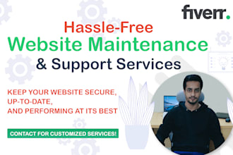 provide website maintenance and support