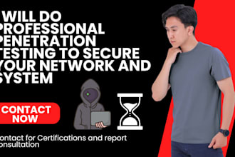 do professional penetration testing to secure your network and systems