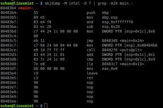 do x86 assembly language masm, nasm, tasm programming