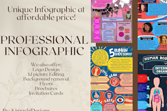 design a professional infographic design bifold and trifold