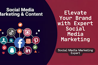 be social media marketing manager, ads expert and content creator