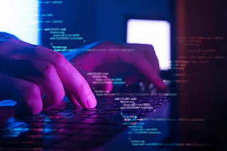 develop complete custom software , web and mobile apps