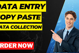 do data entry,data collection,copy paste