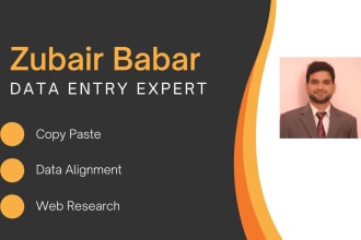 do data entry, data mining and copy paste, I am good in same