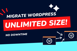 transfer, move wordpress, wordpress migration, fix dns