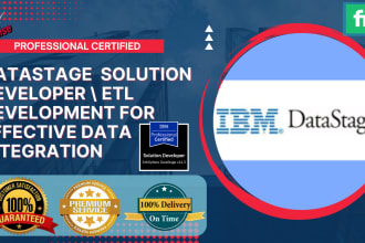 develop professional etl process using datastage