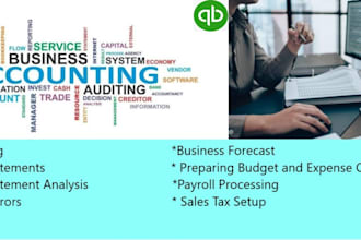 do your accounting and manage your financial  sector