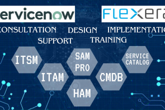 assist with servicenow flexera itam ham, sam pro,  contract mgt , itsm, cmdb