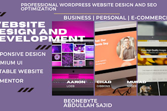 professional wordpress website design and SEO optimization