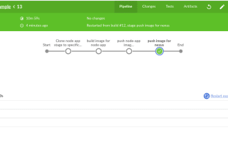 deliver professional cicd setup and configuration for you