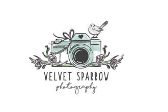 create a brilliant professional camera logo for your company