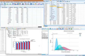 do statistical data analysis, quantitative research by spss