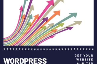 do wordpress website audit