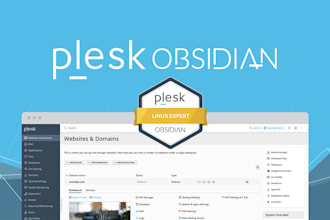 setup your plesk web host server