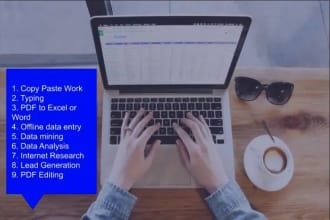 do excel data entry, copy paste, web research, data collection for you