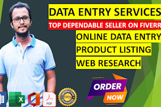 do online data entry, excel, typing, copy paste work