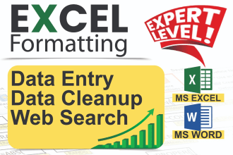 do excel data cleaning and formatting, excel data entry, convert pdf to excel