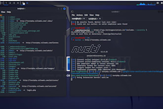 perform penetration testing on your organization and website