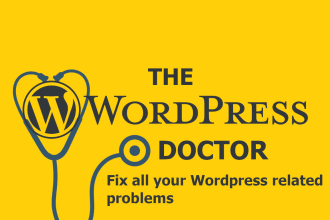 take care of your wordpress problem and hosting too