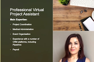 be your project assistant or medical virtual assistant extraordinaire
