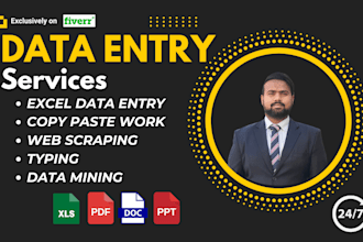 be your virtual assistant for data entry, copy paste, scraping, web research