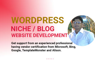 develop popcorn theme based wordpress niche website