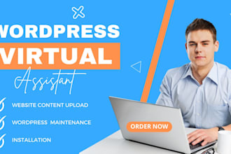 be your wordpress virtual assistant ,upload content articles and manage website