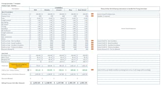 provide template of price and cost breakup with profitability forecast