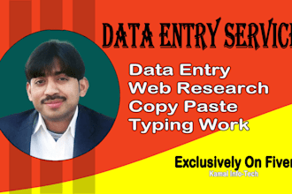 do data entry, data entry typing work, copy paste and excel data entry